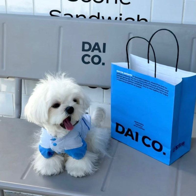 Vodootporna jakna za pse za Schnauzer, Bichon Frise, Teddy, Shiba Inu i West Highland White Terrier