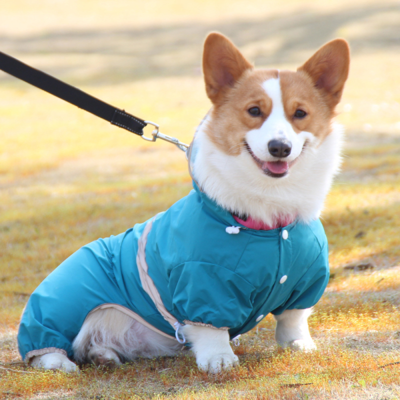 Vodootporna jakna za pse, kratka verzija, reflektirajući detalji, cjeloviti kombinezon za male pse (Corgi)