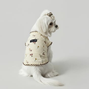 Corduroy haljina u princeskom stilu za male pse — Maltese, Teddy, Pomeranski špic, Yorkšir terijer, Bichon Frisé
