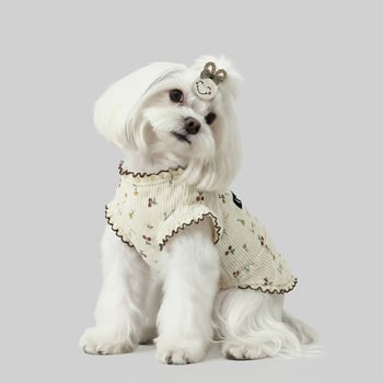 Corduroy haljina u princeskom stilu za male pse — Maltese, Teddy, Pomeranski špic, Yorkšir terijer, Bichon Frisé