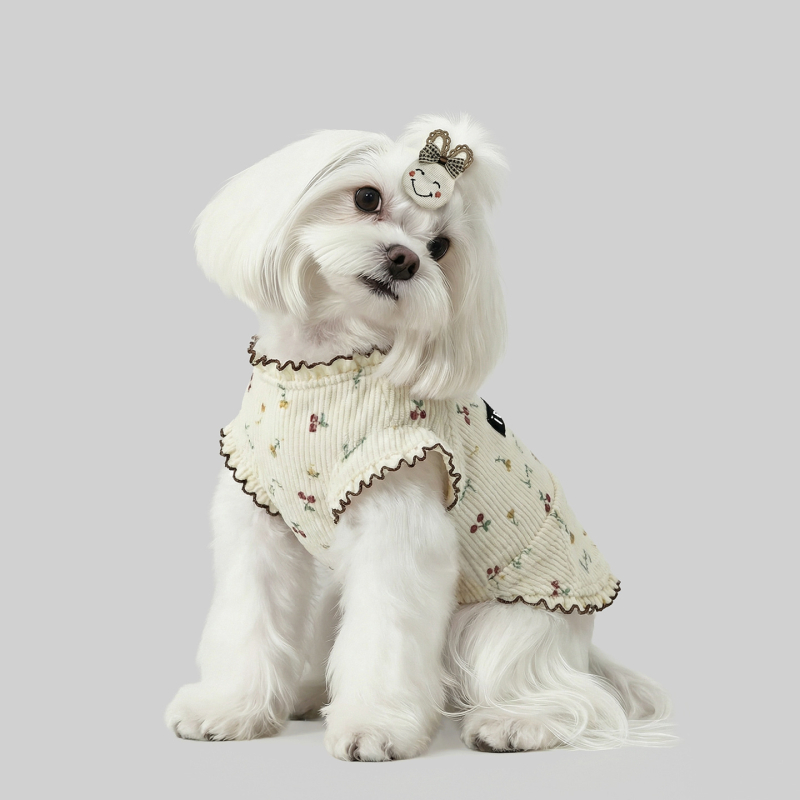 Corduroy haljina u princeskom stilu za male pse — Maltese, Teddy, Pomeranski špic, Yorkšir terijer, Bichon Frisé