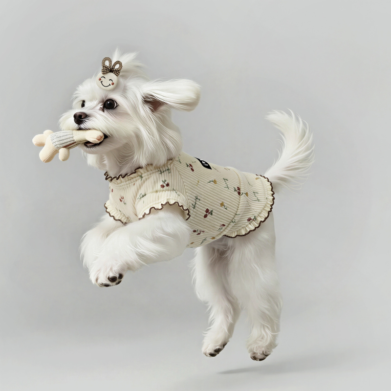 Corduroy haljina u princeskom stilu za male pse — Maltese, Teddy, Pomeranski špic, Yorkšir terijer, Bichon Frisé