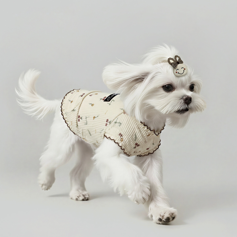 Corduroy haljina u princeskom stilu za male pse — Maltese, Teddy, Pomeranski špic, Yorkšir terijer, Bichon Frisé