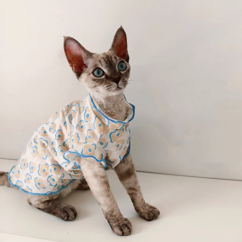 Ljetna odjeća za mačke u njemačkom stilu za bezdlake sorte, nadahnu Rag Doll