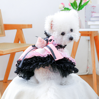 Blackberry Sweetheart tutu suknja za male pse