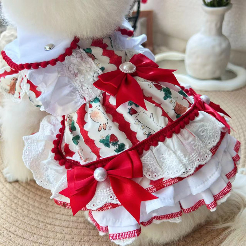 Crvena haljina u stilu princeze s tutu suknjom za male pse (Bichon Frisé / Pomeranian), jesen-zima