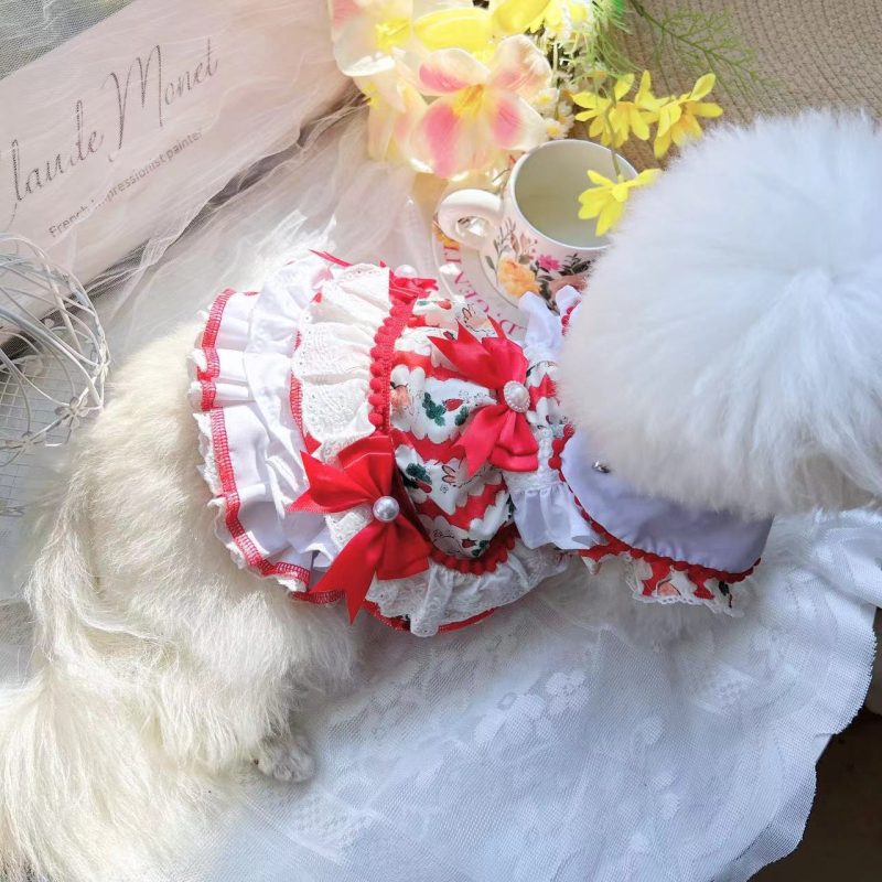 Crvena haljina u stilu princeze s tutu suknjom za male pse (Bichon Frisé / Pomeranian), jesen-zima