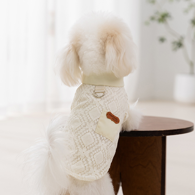 Prozračna majica za male pse, teddy-stil, proljeće-ljeto