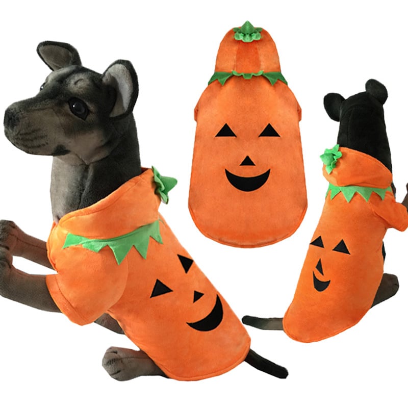 Kostim transformacije za pse srednje i velike veličine: đavo od bundeve za Halloween, jesen-zimska odjeća