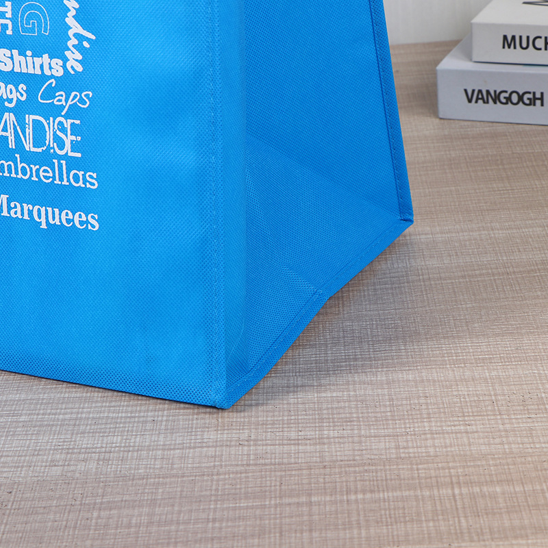 Torba za kupovinu od netkanog materijala s prilagođenim logotipom, sklopa laminirana torba za odjeću