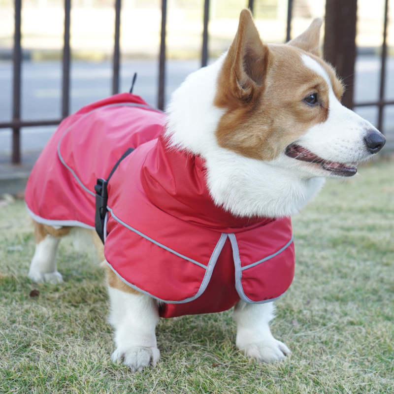 Zimski kišni kaput za pse od poliestera, za male, srednje i velike pse; pogodan za corgi i border collie