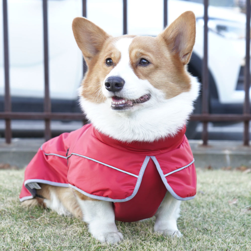 Zimski kišni kaput za pse od poliestera, za male, srednje i velike pse; pogodan za corgi i border collie