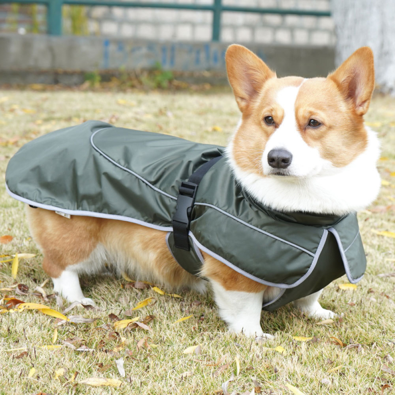 Zimski kišni kaput za pse od poliestera, za male, srednje i velike pse; pogodan za corgi i border collie