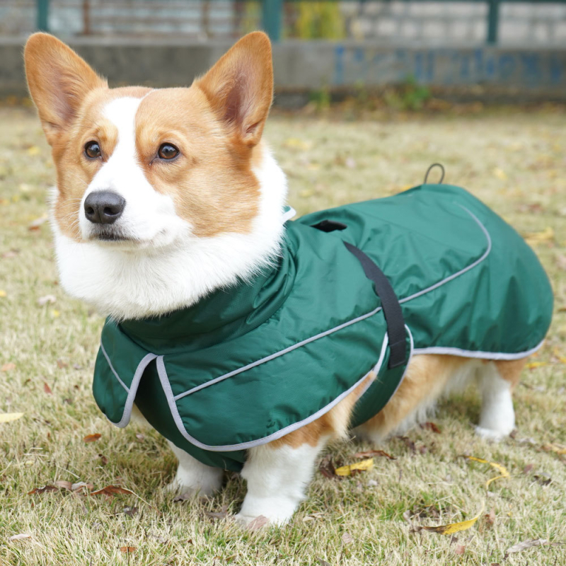 Zimski kišni kaput za pse od poliestera, za male, srednje i velike pse; pogodan za corgi i border collie