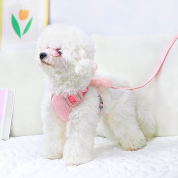Vest stil postroj za male pse (Teddy/Bichon Frisé) – šetnja s povodcem