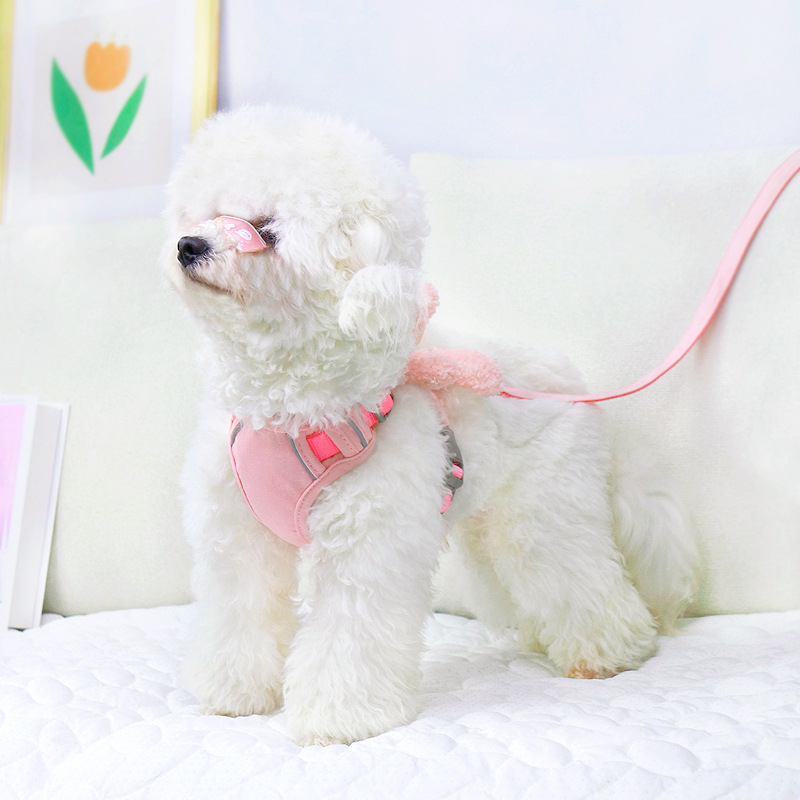 Vest stil postroj za male pse (Teddy/Bichon Frisé) – šetnja s povodcem