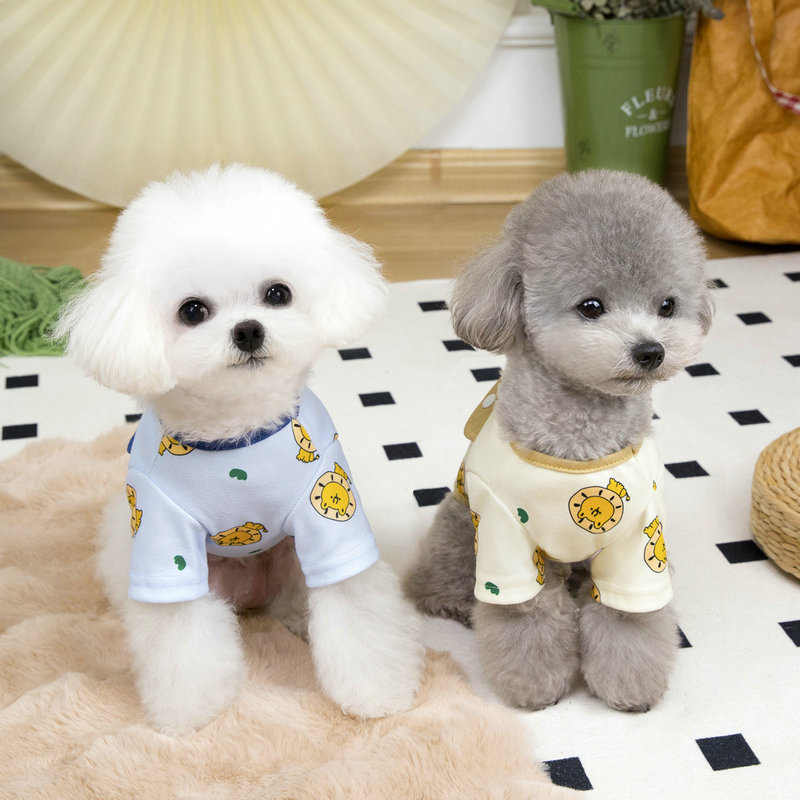 Majica za pse za proljeće i ljeto, za Bichon Frisé i Toy pudla