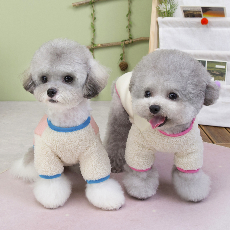 Jesensko-zimski plišasti pulover za male pse i mačke (Teddy Bichon)