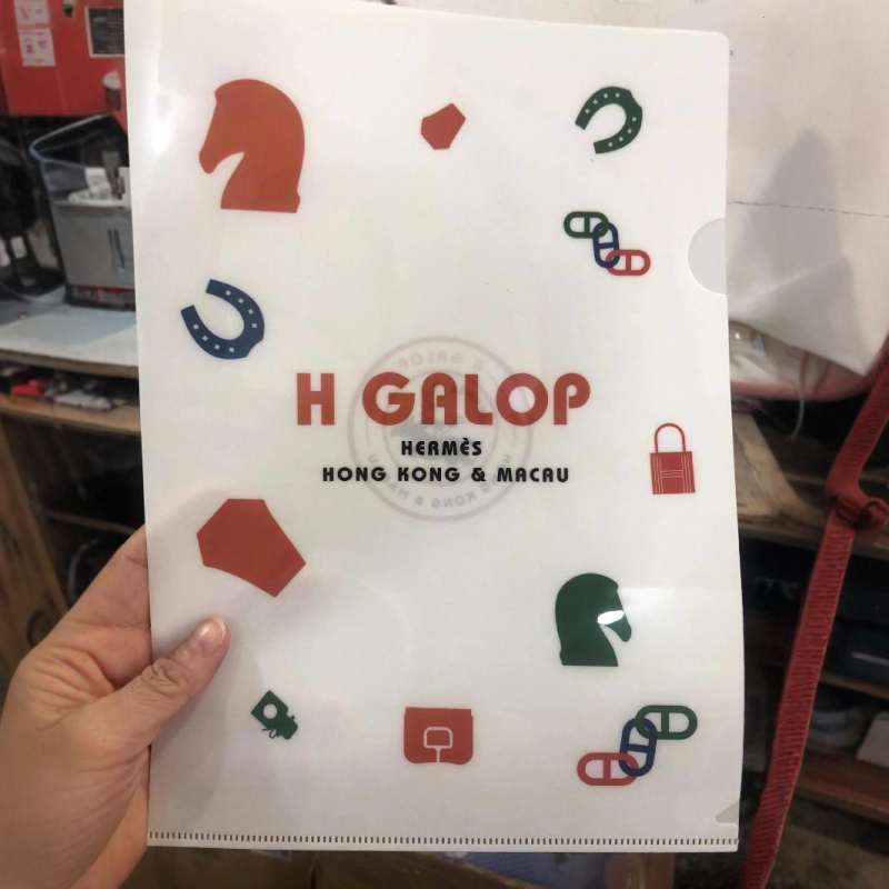 L-oblik plastični folder za A4, s jednim čvrstim klipom, prilagođeni logotip, anime stil