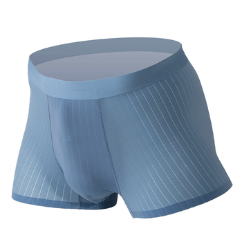Muške bokserice od Ice Silk, bezšivne, prozračne, antibakterijske, tanke, uskog kroja, sportske i lagane