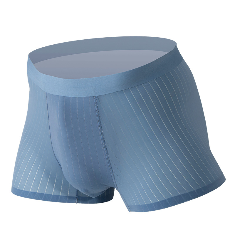 Muške bokserice od Ice Silk, bezšivne, prozračne, antibakterijske, tanke, uskog kroja, sportske i lagane