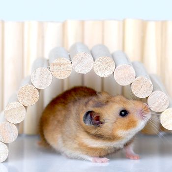 Set za hamster pejzaž: drvena ljestvica za penjanje, ograda, ljuljačka, mek hodnik i luk za hamster