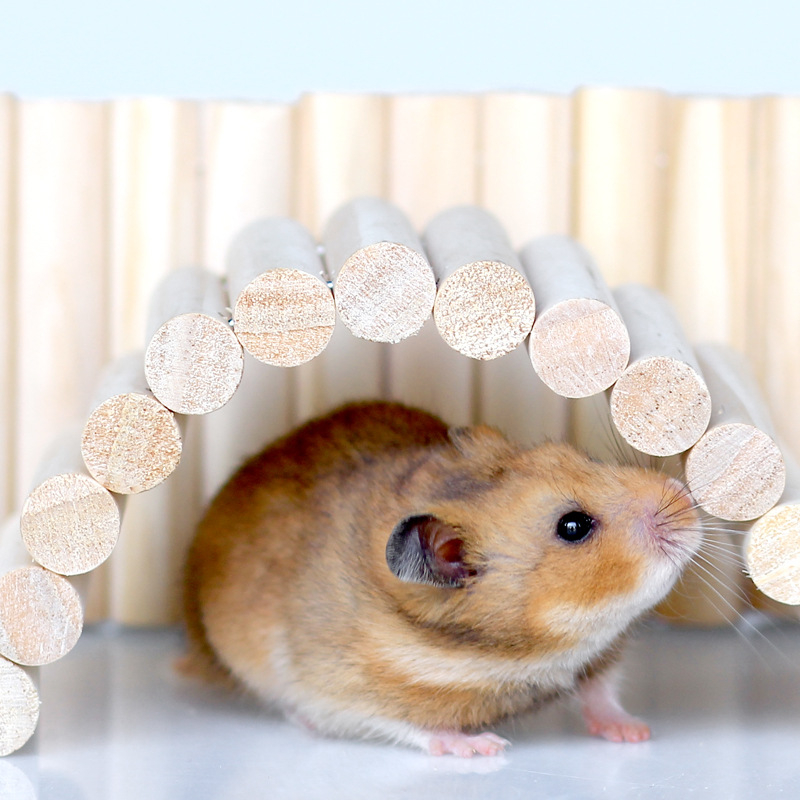 Set za hamster pejzaž: drvena ljestvica za penjanje, ograda, ljuljačka, mek hodnik i luk za hamster