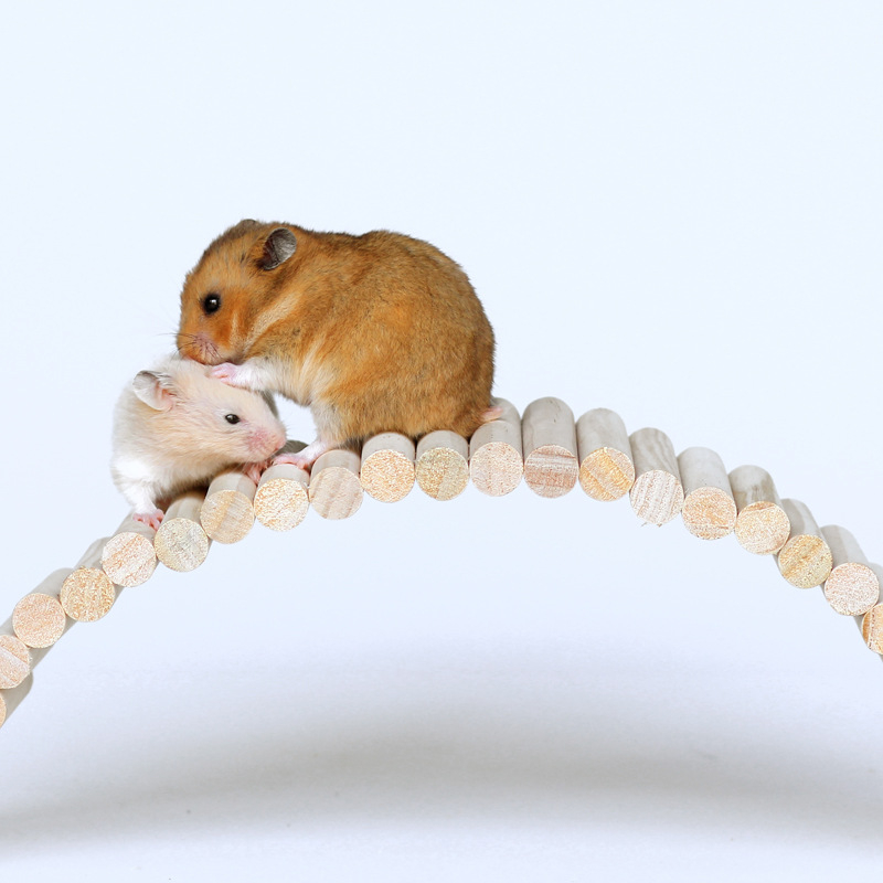 Set za hamster pejzaž: drvena ljestvica za penjanje, ograda, ljuljačka, mek hodnik i luk za hamster