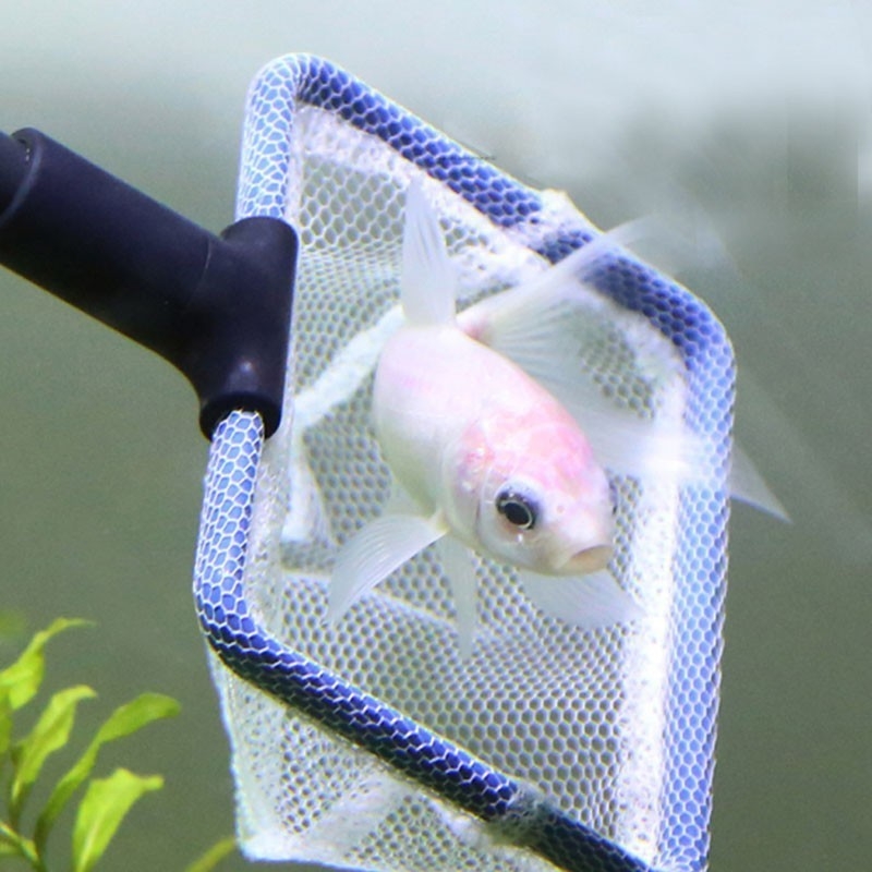 Akvarium set za čišćenje s dugačkom ručkom, pet u jednom, plastični