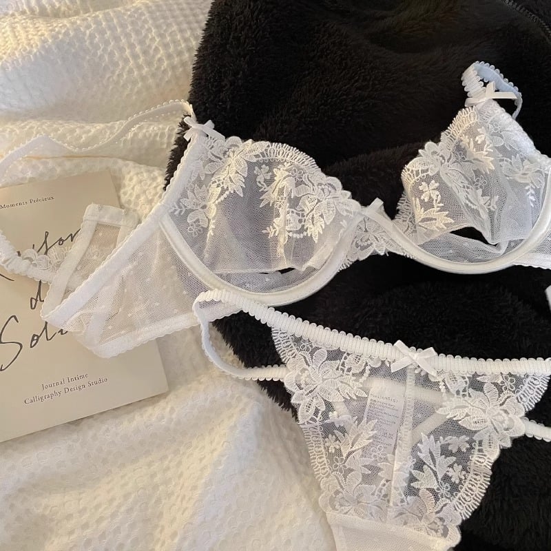 Francuski stil seksi čipkaste ženski donji rublje za ljeto, lagani grudnjak s mrežicom i izvezenim detaljima te push-up podrška za mali bust
