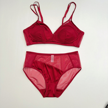 Francuskog stila tanak svileni saten grudnjak bez žice, Mulberry svila, seksi donje rublje, set