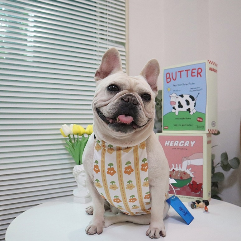 DDPET vodootporni kaput za pse s zaštitom trbuha za French Bulldog, Corgi, Miniature Schnauzer i West Highland White Terrier