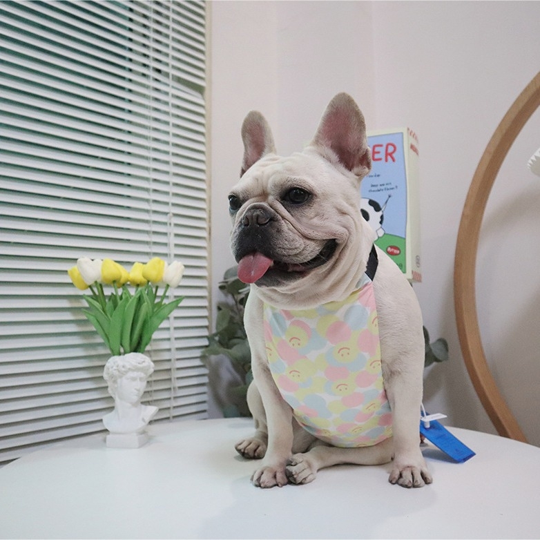 DDPET vodootporni kaput za pse s zaštitom trbuha za French Bulldog, Corgi, Miniature Schnauzer i West Highland White Terrier