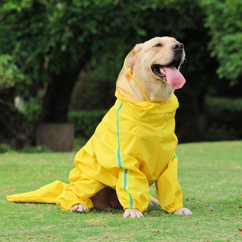 Vodootporna jakna za velike pse s kapuljačom, potpuno pokriveno tijelo, zaštita trbuha, četveronožni dizajn (Labrador / Zlatni retriever)
