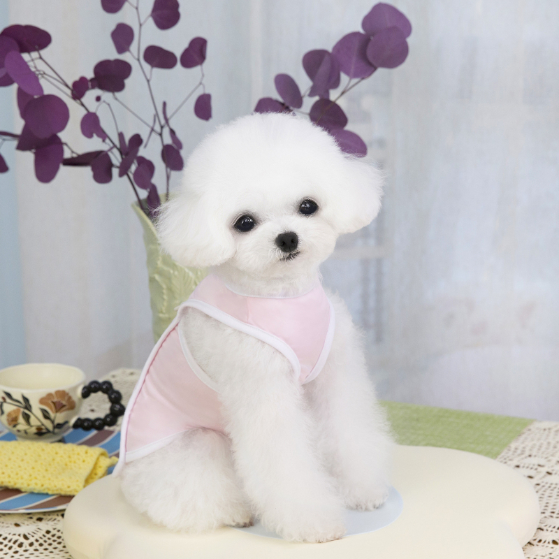 Prsluk za pse za proljeće i ljeto, Bichon/Teddy, veličina 25, rashladni prsluk