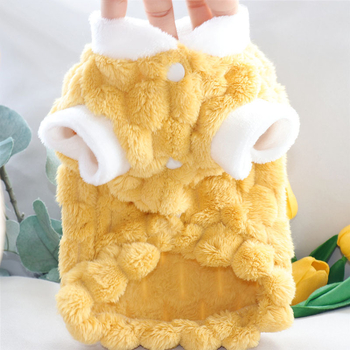 Zamatna odjeća za male pse — jesensko-zimska kolekcija (Bichon Frisé, toy pudla, mini šnaucer)