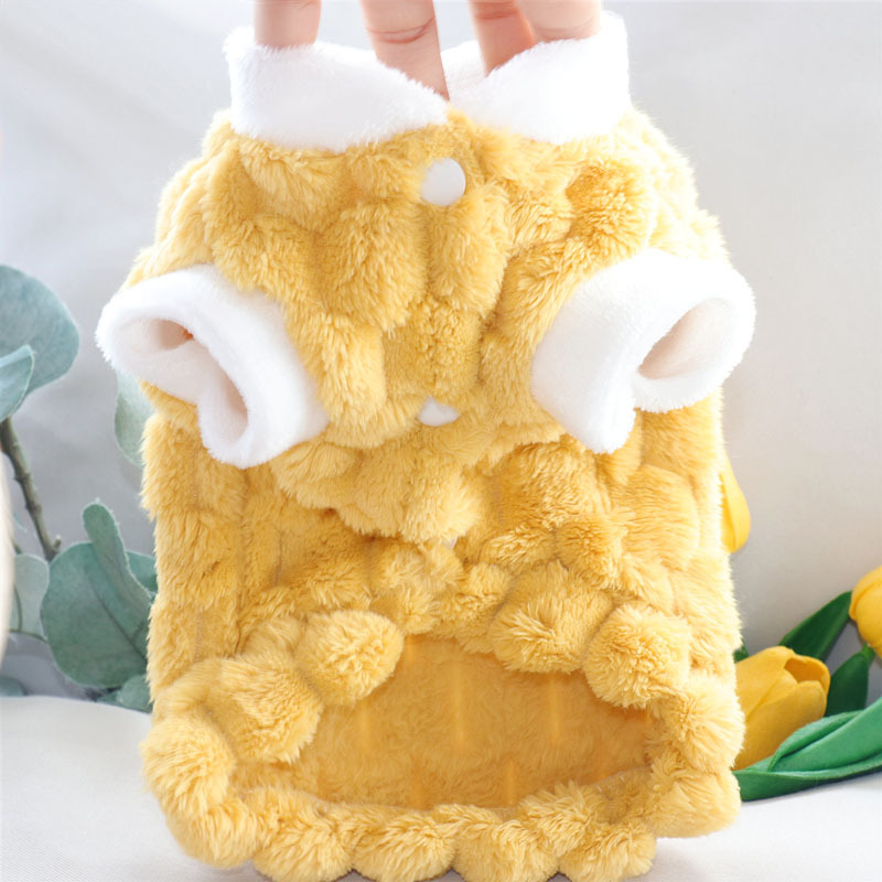 Zamatna odjeća za male pse — jesensko-zimska kolekcija (Bichon Frisé, toy pudla, mini šnaucer)