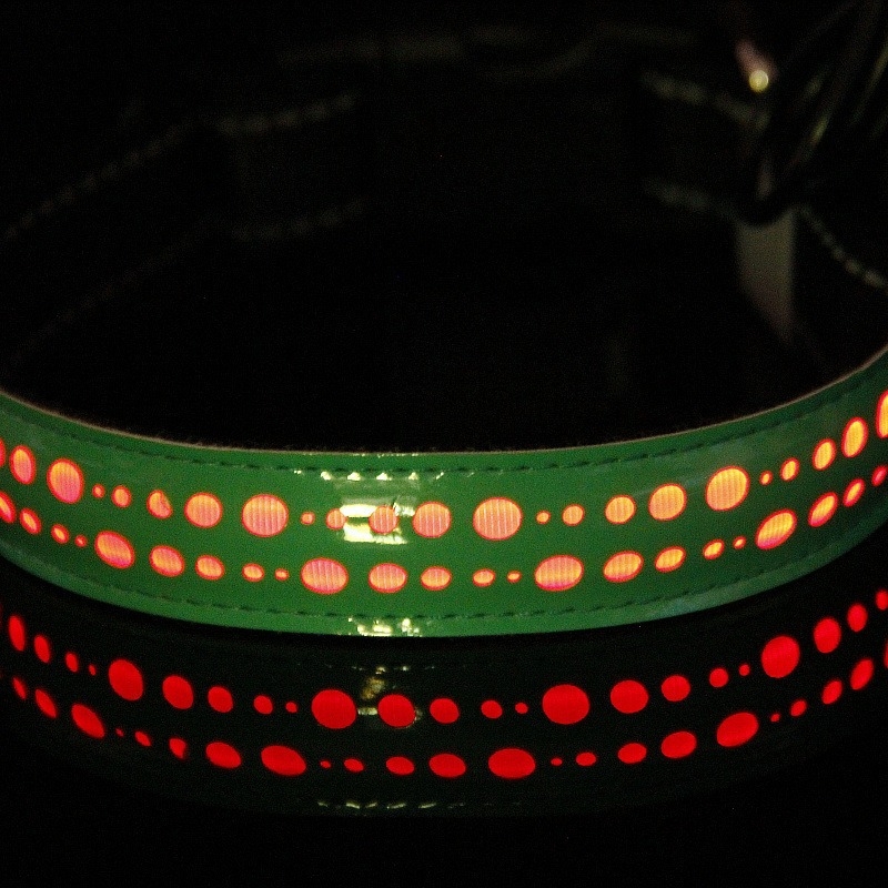 LED svijetleći ovratnik za pse s graviranim uzorkom od PU kože, punjiv, višebojni