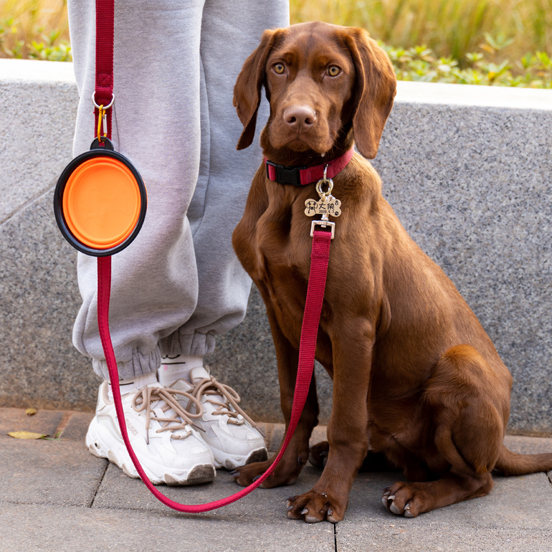 Meianju Sklopiva posuda za kućne ljubimce s privjeskom za ključeve — prijenosna vanjska posuda za hranu i vodu za pse i mačke