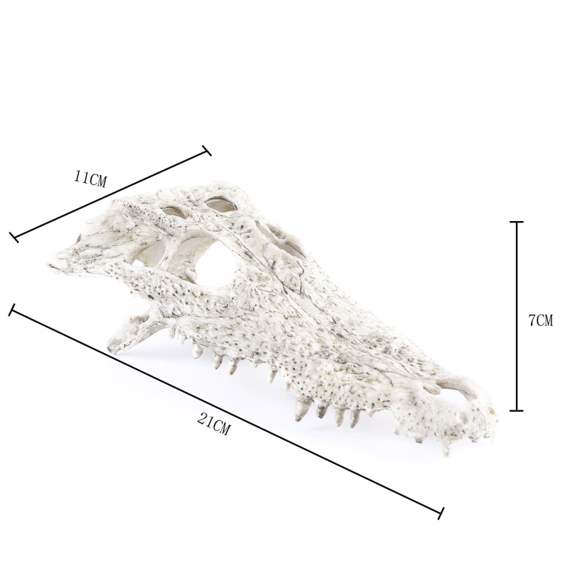 Dekor za akvarij: lubanje dinosaura, krokodila i ovce s podvodnim biljnim pejzažem, veličina 21×7×11 cm