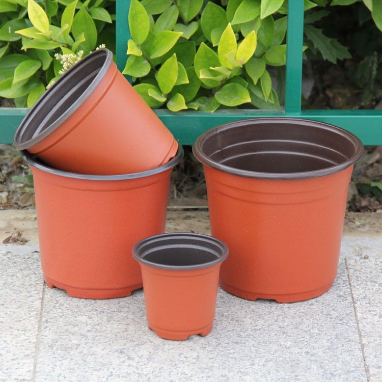 Ghiveci plastic pentru răsaduri, bicolor, cu pereți groși, diametru mare și bază