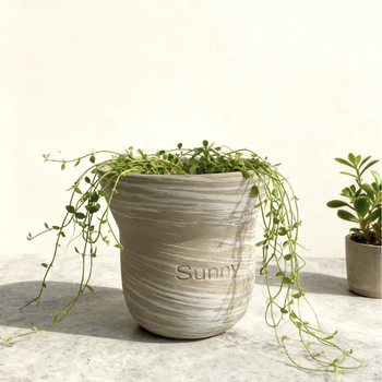 Ghivece ceramice în stil coreean pentru plante verzi, vase din lut texturate pentru orhidee și ferigi, neglazurate, pe birou cu culoare contrastantă