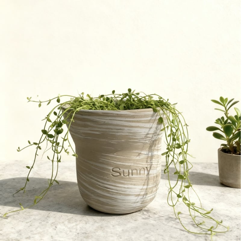 Ghivece ceramice în stil coreean pentru plante verzi, vase din lut texturate pentru orhidee și ferigi, neglazurate, pe birou cu culoare contrastantă