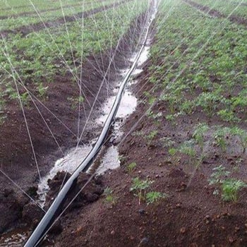 Основен маркуч за микроразпръскване и капково напояване, пръскане и водно атомизиране, 1-инчов главен маркуч
