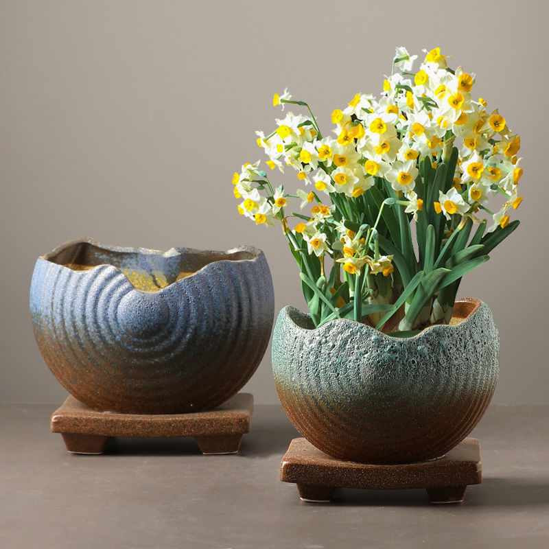 Ghiveci ceramic hidroponic în stil european, cu design unic de vază pentru pothos, money plant și lotus