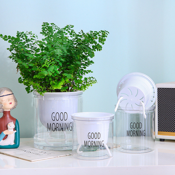 Ghiveci transparent hidroponic auto-udare pentru pothos și spider plant, stil nordic minimalist, plante verzi și suculente