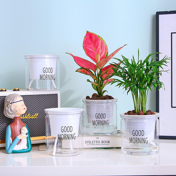 Ghiveci transparent hidroponic auto-udare pentru pothos și spider plant, stil nordic minimalist, plante verzi și suculente