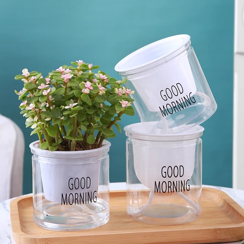 Ghiveci transparent hidroponic auto-udare pentru pothos și spider plant, stil nordic minimalist, plante verzi și suculente