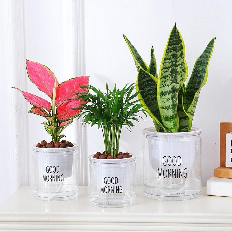 Ghiveci transparent hidroponic auto-udare pentru pothos și spider plant, stil nordic minimalist, plante verzi și suculente