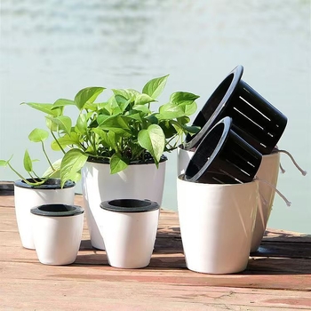 Ghiveci mare din rășină pentru hidroponie, cu absorbție automată a apei – pothos, design minimalist